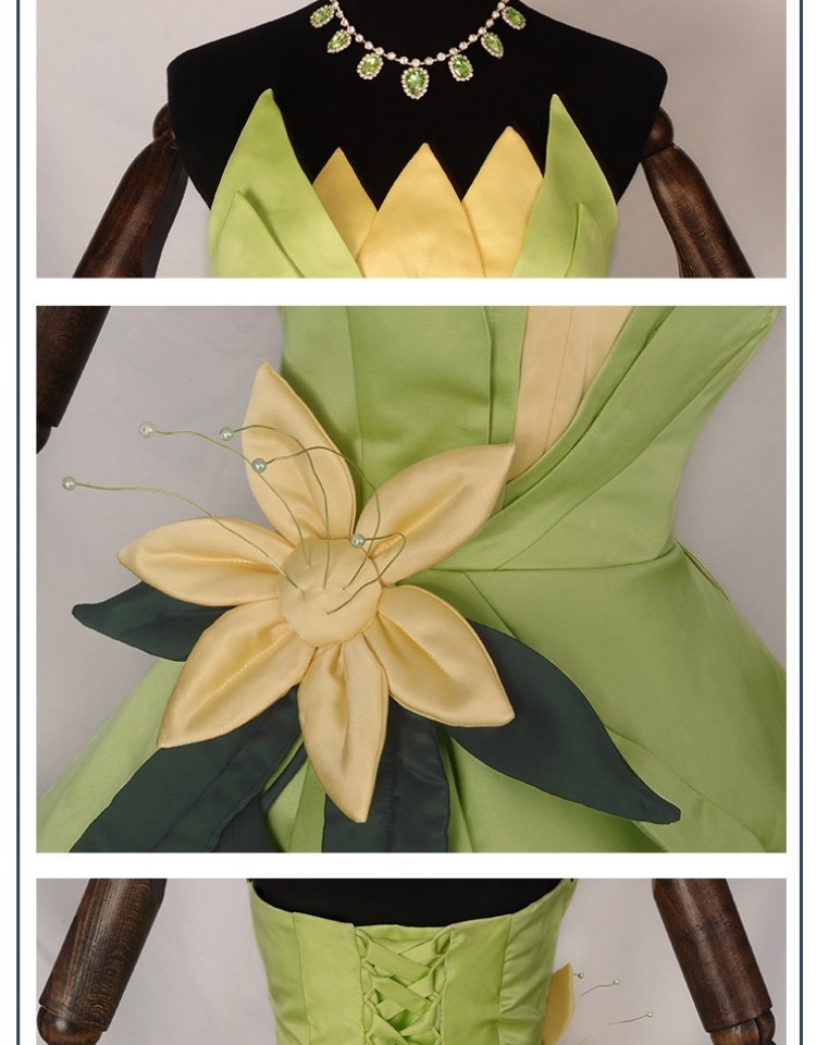 Princess Tiana Dress Cosplay C - Women Accessories Kit review and price