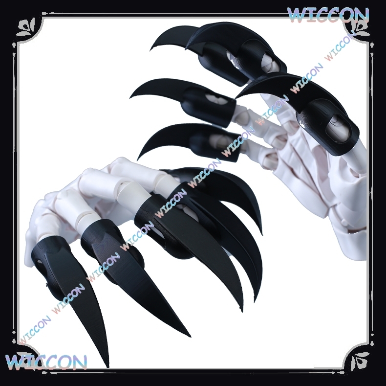 Animal Costume Fingernails Bla - Women Accessories Kit review and price